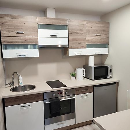 Monica Apartments Panevėžys Zewnętrze zdjęcie