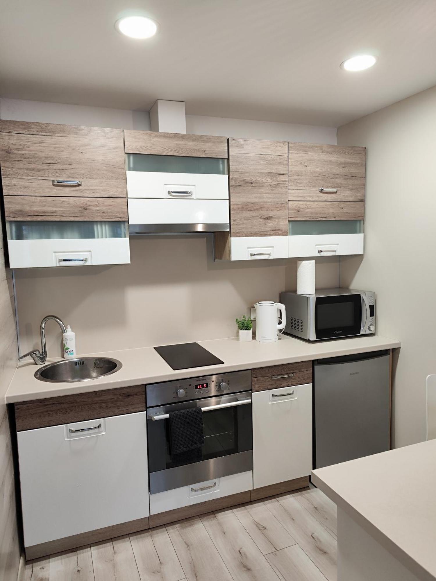Monica Apartments Panevėžys Zewnętrze zdjęcie